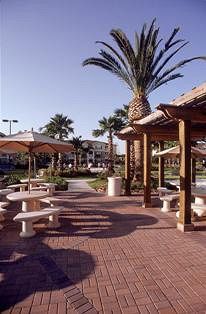 Mainsail Tampa Extended Stay Luaran gambar
